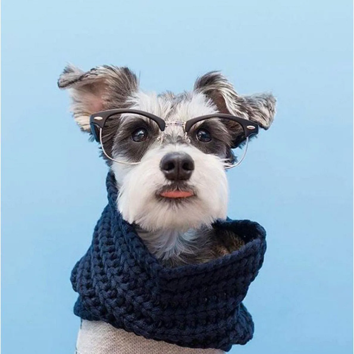 Fabdog | Infinity Dog Scarves - Navy