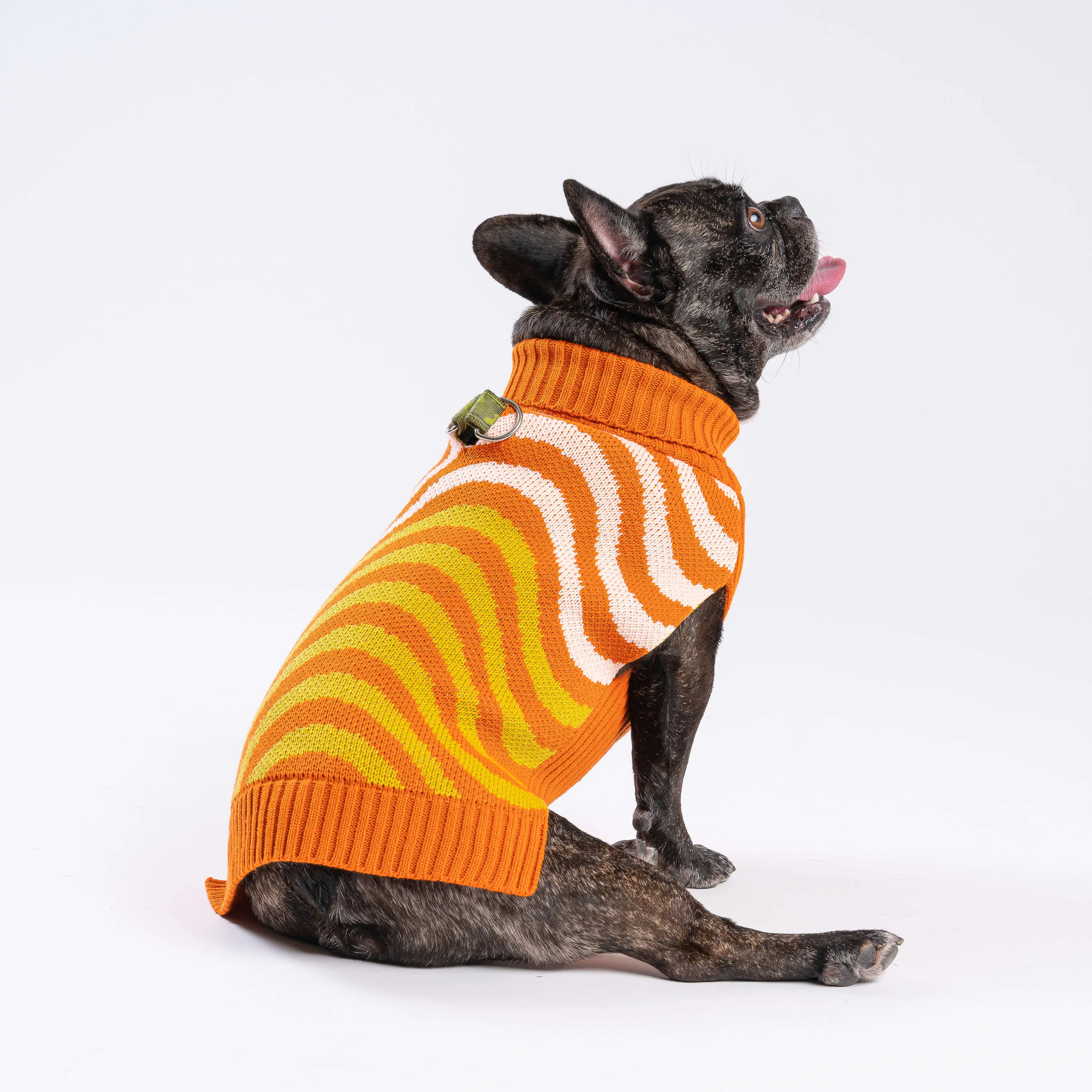 Sound Wave Dog Sweater