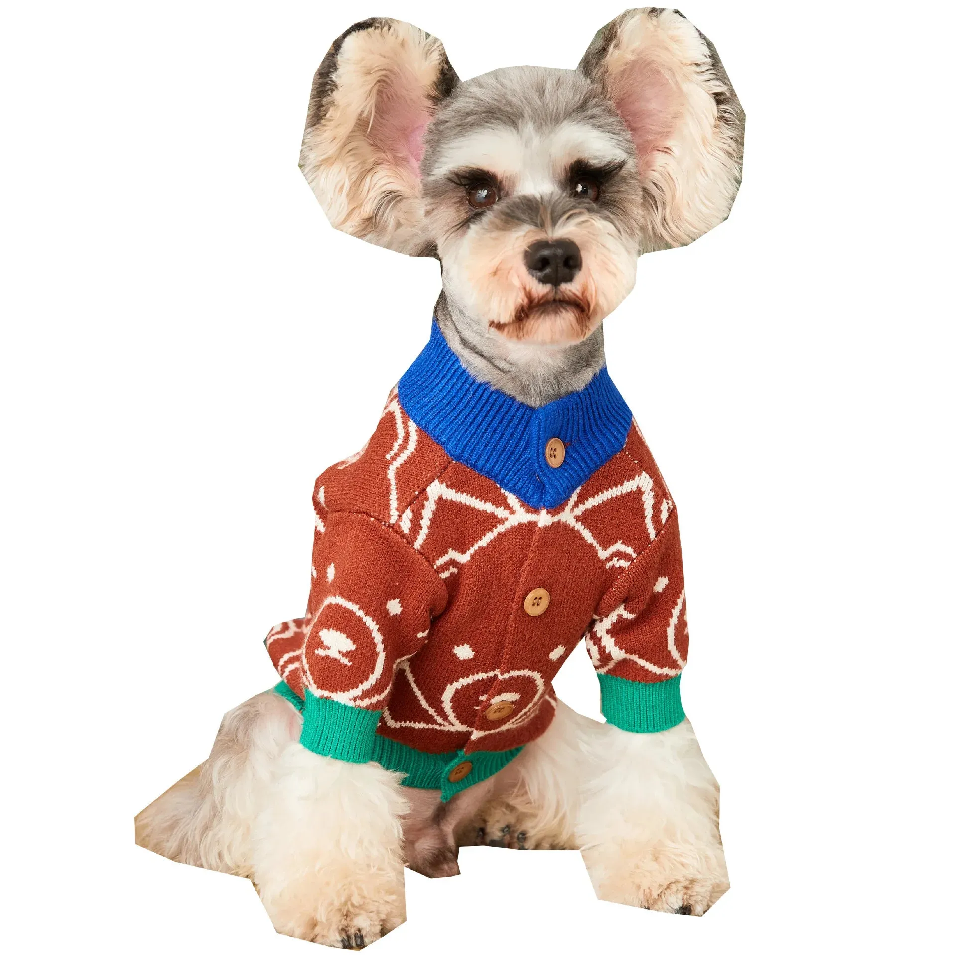 Teddy Bear Dog Cardigan