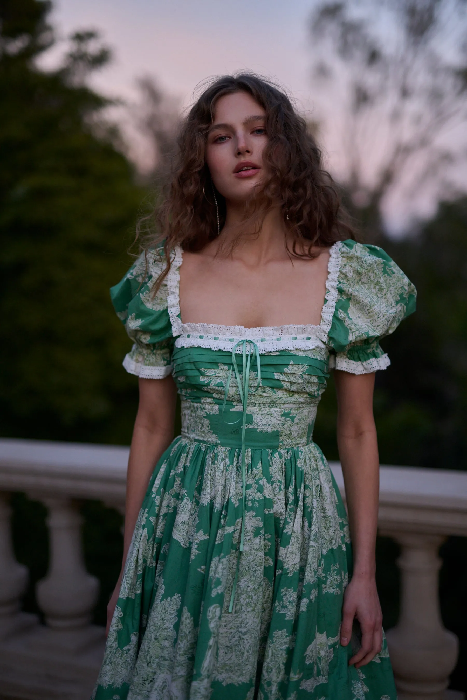 The Cedar Toile French Bonny Dress